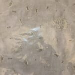 شيلة بيت - قطن صناعة هندية